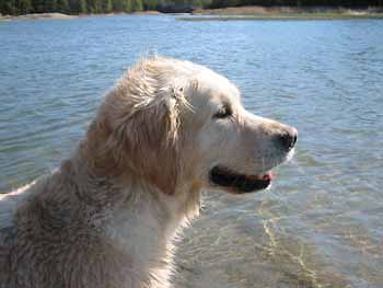 Kokeen j�lkeen hymyill��n