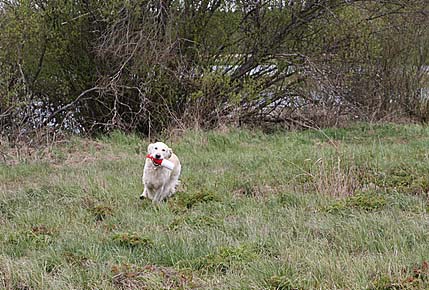 photo Middle Rivers/Maarit Saarinen
