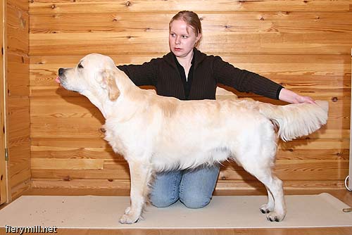 kuva Ramin Miraftabi