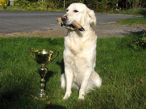 foto Marjo Kuusisto-Rajala