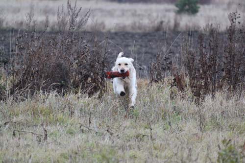 photo Marja Alakoski