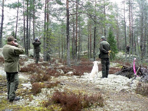 photo Markku Kastepohja