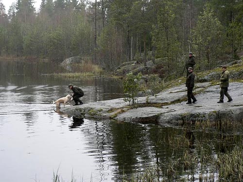 photo Markku Kastepohja