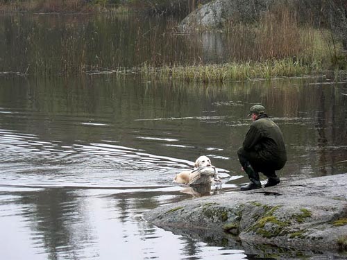 photo Markku Kastepohja
