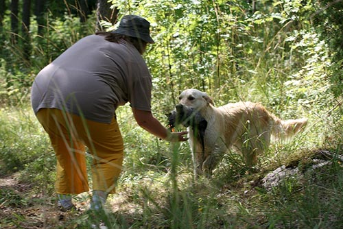 photo Pia Kyll�nen