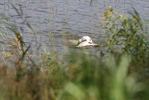 photo Pia Kyll�nen