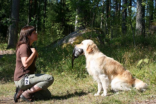 photo Pia Kyll�nen