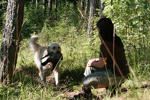 photo Pia Kyll�nen