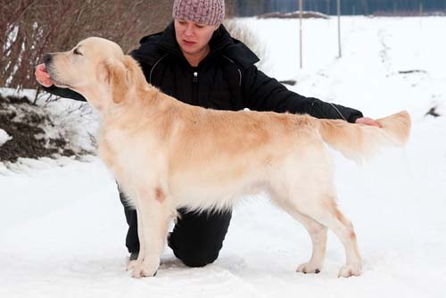 kuva Ramin Miraftabi