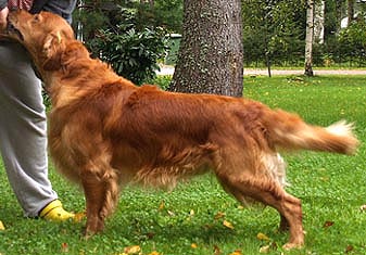 kuva Lynn Kipps