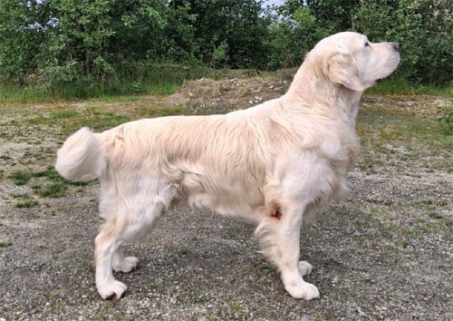kuva 