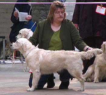 kuva Karoliina Koivisto