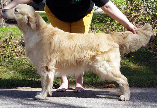 kuva Tiina Valonen 7,5kk