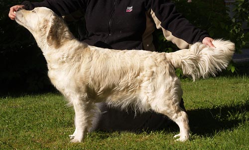 kuva Daisy 5kk, Pia Kyll�nen