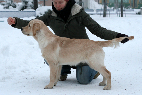 kuva V�nk� 5kk, Pia Kyll�nen