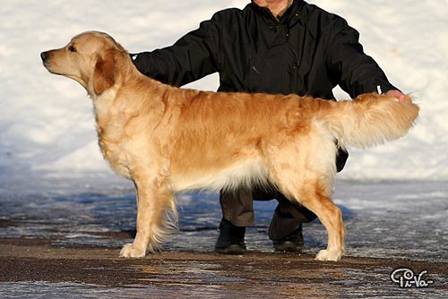 kuva Tiina Valonen