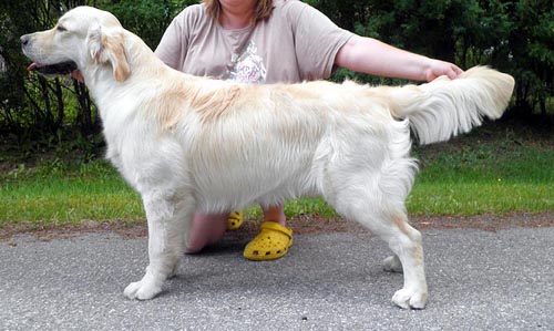 kuva 7kk