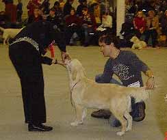 © kuva: Noora Suvinen