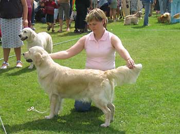 Pia ja Jade keh�ss�