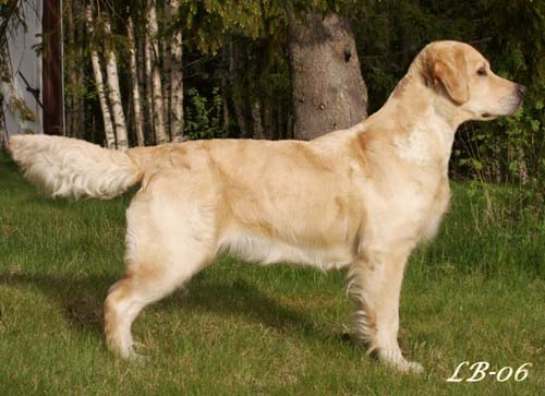 kuva Leif B�ckstr�m