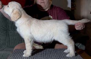 Sulo3 7 weeks