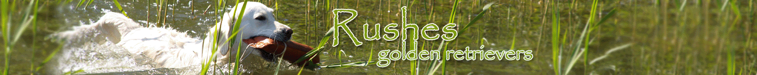 Rushes