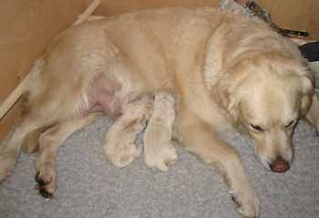 Beavis&Butthead :) �idin kainalossa juuri maailmaan tultuaan