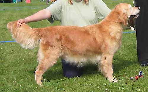 Nuksu saavutti FIN MVA-arvon Karjaalla 4.7.04